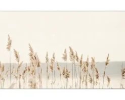 Küchenrückwand mySpotti Profix Seebi Seegras 100 x 60 cm PX-10060-1838-HB
