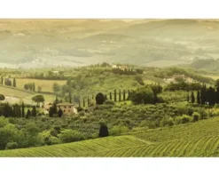 Küchenrückwand mySpotti Profix Romeo Landschaft 100 x 60 cm PX-10060-1497