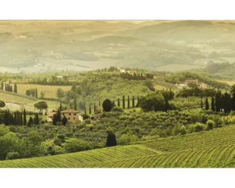 Küchenrückwand mySpotti Profix Romeo Landschaft 100 x 60 cm PX-10060-1497