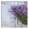 Küchenrückwand mySpotti Profix Vintage Lavendel 100 x 60 cm PX-10060-209-HB