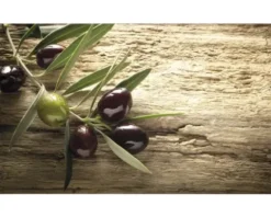 Küchenrückwand mySpotti Profix Mediterran Olivenzweig 100 x 60 cm PX-10060-59-HB