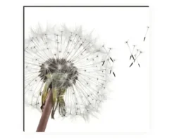 Küchenrückwand mySpotti Profix Dandelion 100 x 60 cm PX-10060-1508-HB