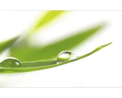 Küchenrückwand mySpotti Profix Dew Drop 100 x 60 cm PX-10060-53-HB