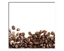 Küchenrückwand mySpotti Profix Mr. Beans Kaffeebohnen 100 x 60 cm PX-10060-1507-HB