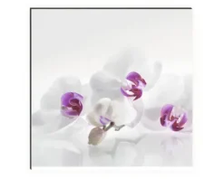Küchenrückwand mySpotti Profix Orchidee 100 x 60 cm PX-10060-61-HB