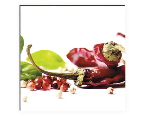 Küchenrückwand mySpotti Profix Herbs and Spice 100 x 60 cm PX-10060-793-HB