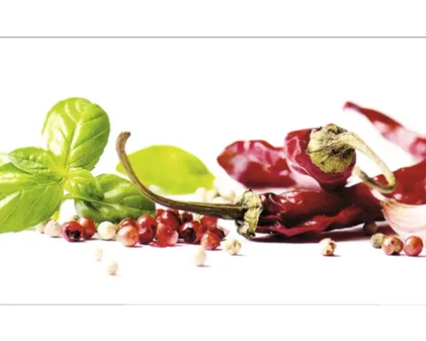 Küchenrückwand mySpotti Profix Herbs and Spice 100 x 60 cm PX-10060-793-HB