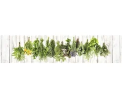 Küchenrückwand mySpotti Splash Hanging Herbs Kräuter 2800 x 600 mm SP-F2-1260