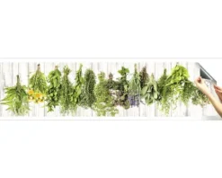 Küchenrückwand mySpotti Splash Hanging Herbs Kräuter 2800 x 600 mm SP-F2-1260