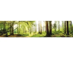 Küchenrückwand mySpotti Splash Tree Crowns Wald 2800 x 600 mm SP-F2-1261