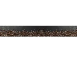 Küchenrückwand mySpotti Splash Marco Kaffeebohnen 4500 x 600 mm SP-F3-1814
