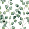 Küchen Spritzschutz | Küchenrückwand | Alu-DiBond | Fliesenschutz für den Herd und Spüle | Küche | Küchenfliesen | Fliesenspiegel | Rückwand, Größe: 60 x 40 x 0.3 cm Küchenrückwand und Spritzschutz Pflanze Efeu