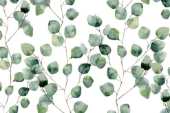 Küchen Spritzschutz | Küchenrückwand | Alu-DiBond | Fliesenschutz für den Herd und Spüle | Küche | Küchenfliesen | Fliesenspiegel | Rückwand, Größe: 60 x 40 x 0.3 cm Küchenrückwand und Spritzschutz Pflanze Efeu