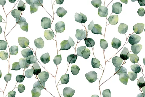 Küchen Spritzschutz | Küchenrückwand | Alu-DiBond | Fliesenschutz für den Herd und Spüle | Küche | Küchenfliesen | Fliesenspiegel | Rückwand, Größe: 60 x 40 x 0.3 cm Küchenrückwand und Spritzschutz Pflanze Efeu