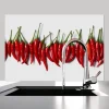 Küchen Spritzschutz | Küchenrückwand | Alu-DiBond | Fliesenschutz für den Herd und Spüle | Küche | Küchenfliesen | Fliesenspiegel | Rückwand, Größe: 60 x 40 x 0.3 cm Küchenrückwand und Spritzschutz Chili