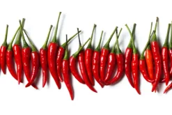 Küchen Spritzschutz | Küchenrückwand | Alu-DiBond | Fliesenschutz für den Herd und Spüle | Küche | Küchenfliesen | Fliesenspiegel | Rückwand, Größe: 60 x 40 x 0.3 cm Küchenrückwand und Spritzschutz Chili