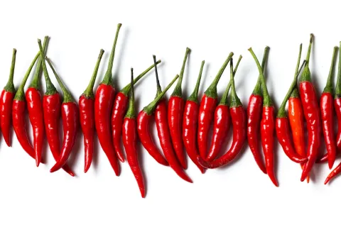 Küchen Spritzschutz | Küchenrückwand | Alu-DiBond | Fliesenschutz für den Herd und Spüle | Küche | Küchenfliesen | Fliesenspiegel | Rückwand, Größe: 60 x 40 x 0.3 cm Küchenrückwand und Spritzschutz Chili