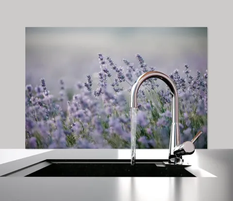 Küchen Spritzschutz | Küchenrückwand | Alu-DiBond | Fliesenschutz für den Herd und Spüle | Küche | Küchenfliesen | Fliesenspiegel | Rückwand, Größe: 60 x 40 x 0.3 cm Küchenrückwand und Spritzschutz Lavendel