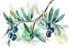 Küchen Spritzschutz | Küchenrückwand | Alu-DiBond | Fliesenschutz für den Herd und Spüle | Küche | Küchenfliesen | Fliesenspiegel | Rückwand, Größe: 60 x 40 x 0.3 cm Küchenrückwand und Spritzschutz Oliven
