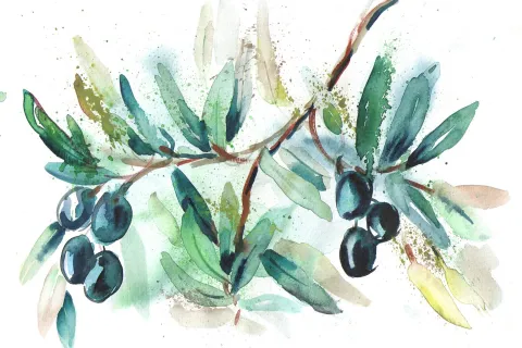 Küchen Spritzschutz | Küchenrückwand | Alu-DiBond | Fliesenschutz für den Herd und Spüle | Küche | Küchenfliesen | Fliesenspiegel | Rückwand, Größe: 60 x 40 x 0.3 cm Küchenrückwand und Spritzschutz Oliven