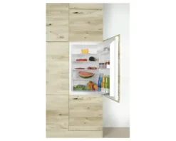 Kühlschrank Amica EVKSS 353 900 BxHxT 56 x 88 x 55 cm Kühlteil 135 l