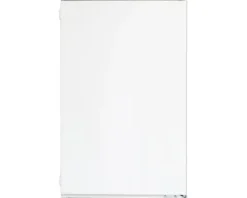 Kühlschrank Amica EVKSS 353 900 BxHxT 56 x 88 x 55 cm Kühlteil 135 l