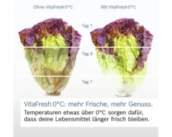Kühl- und Gefrierkombination Bosch BxHxT 60 x 203 x 66,5 cm Kühlteil 260 l Gefrierteil 103 l edelstahl schwarz KGN39VXAU