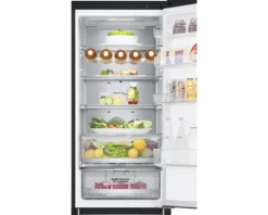 Kühl- und Gefrierkombination LG GBB92MCACP BxHxT 59.5 x 203 x 67.5 cm Kühlteil 277 l Gefrierteil 107 l für 5 Flaschen