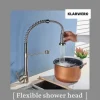 KLARWERK® Bernd | Gastronomie Küchenarmatur Silber gebürstet mit Feder |Edelstahl Wasserhahn Küche |Mischbatterie 360° drehbar |Hochdruck 2 Anschlüsse