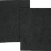 Kohlefilter Amica KF 17137 2 Stück