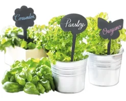 Kreidetafel Gartenstecker Bubble 5 Stk. inkl. Kreidestift