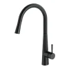 Mariner Küchenarmatur Cucina Einhebel Küchenarmatur mit ausziehbarem Auslauf, Armatur Küche (Warmwasserarmatur & Kaltwasserarmatur, Kaltwassserhahn)