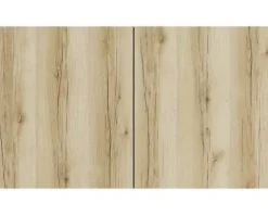 Optifit Hängeschrank Kaya290 BxTxH 100 x 34,6 x 57,6 cm wildeiche strukturiert matt zerlegt KLKA O106-0+