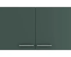 Optifit Hängeschrank Savona405 BxTxH 100 x 34,6 x 57,6 cm grün matt zerlegt KUSA O106-9+
