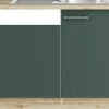 Optifit Spülenschrank inkl Spüle Geschirrspülerblende für teilintegrierten Geschirrspüler Savona405 BxTxH 110 x 60 x 84,8 cm grün matt zerlegt Anschlag reversibel KUSA SAPLT11-9+