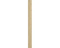 PICCANTE Smart Passstück für Hochschrank H:194,4 cm B 14,6 cm WILD OAK 