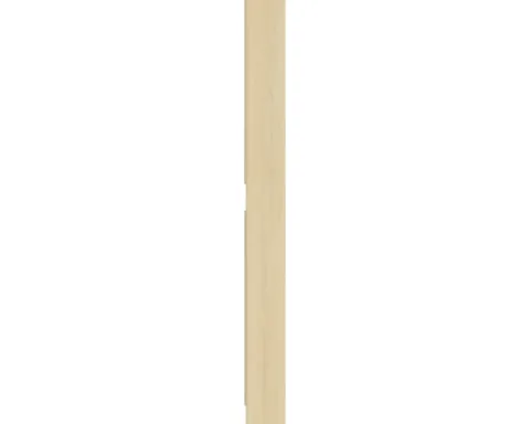 PICCANTE Smart Passstück für Midischrank H: 159,2 cm B: 14,6 cm LIGHT OAK "CD"