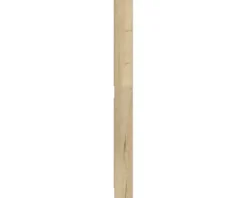 PICCANTE Smart Passstück für Midischrank H: 159,2 cm B: 14,6 cm WILD OAK "CD"