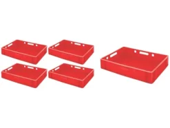 PROREGAL SparSet 5 x Eurobehälter Fleischerkasten E1 HxBxT 12,5 x 40 x 60 cm 25 Liter Rot Fleischerkiste Fleischkiste Metzgerkiste Fleischbehälter