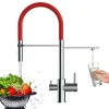 3 Wege Wasserhahn Küchenarmatur, FL, mit 360° schwenkbarem Auslauf, abnehmbare 2 strahl Handbrause, Verchromt / Rot