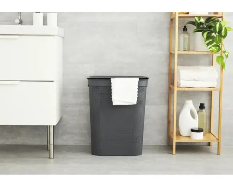 Wäschebehälter Rotho Brisen 50 l anthrazit matt 1023508853WS