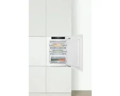Gefrierschrank Amica EGSX 321 210 BxHxT 55,6 x 77 x 55 cm