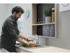 hansgrohe Küchenarmatur mit Ausziehauslauf FOCUS 220 M43 chrom 71842000