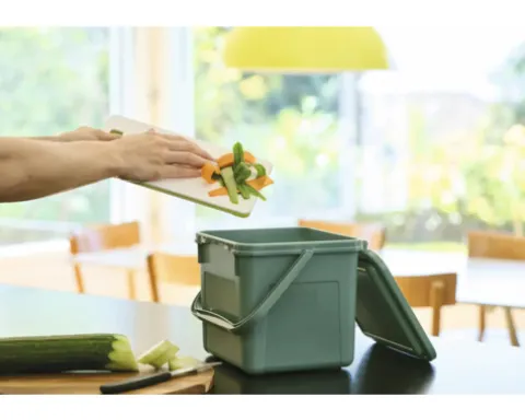 Rotho Biomülleimer Kunststoff BIO 5 l grün